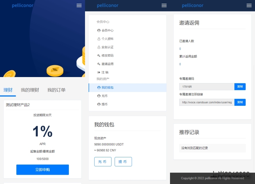 2022050707464120-1-1 USDT理财虚拟锁仓货币投资理财定期活期出海源码_双语言区块链理财系统